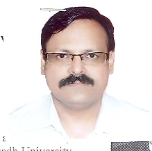 Prof. Sant Saran Mishra